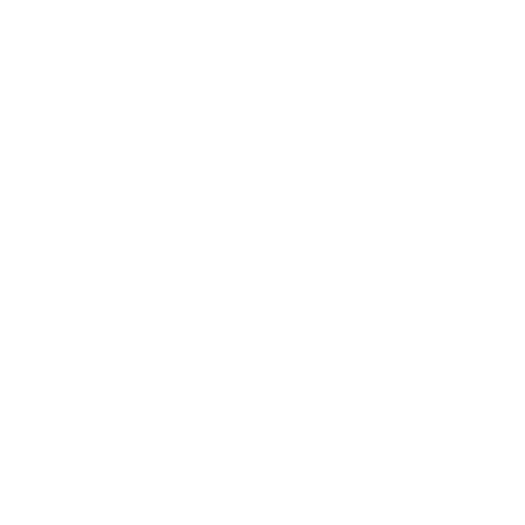 Chronicler Logo - White Transparent